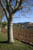 domaine tempier